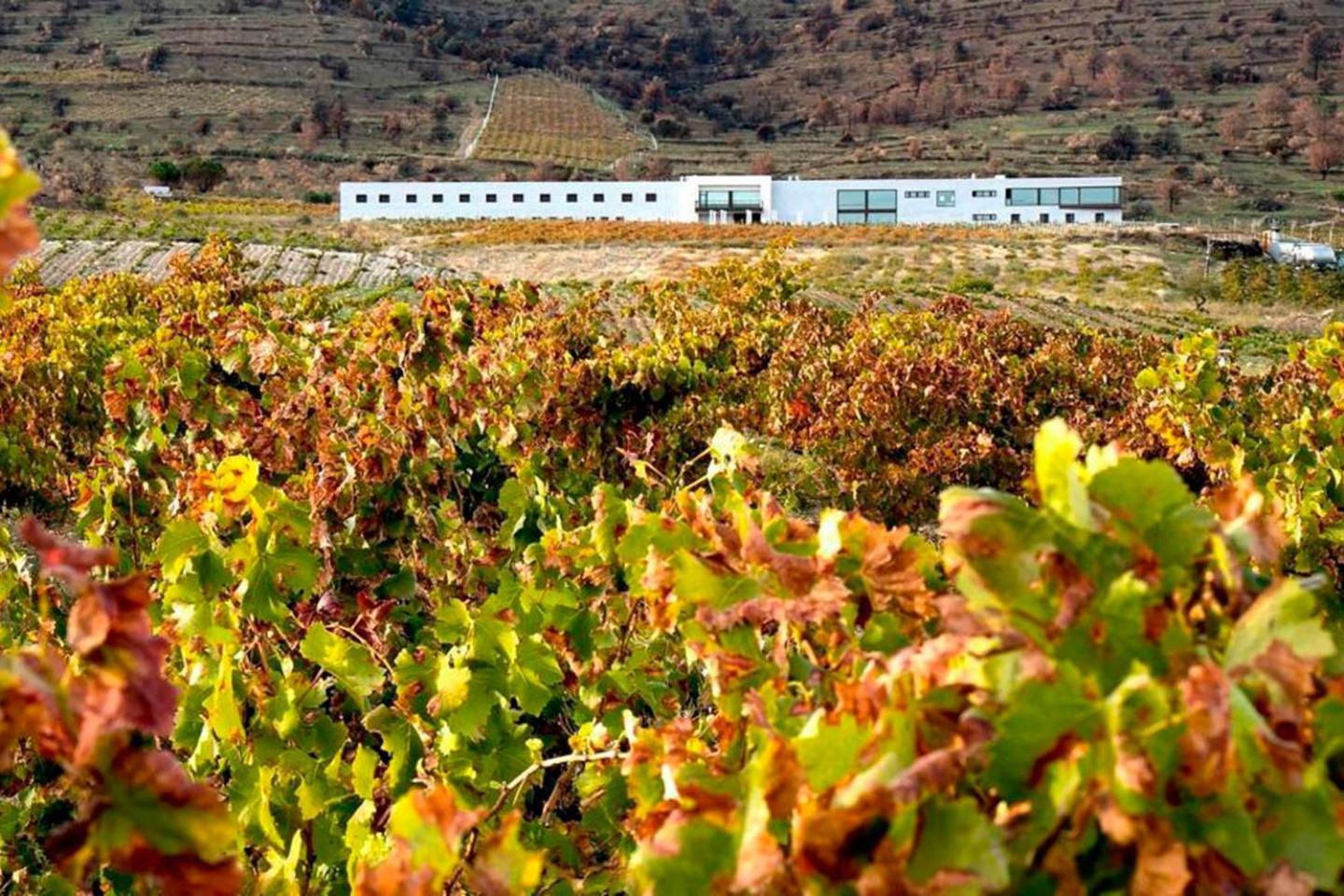 Tierras De